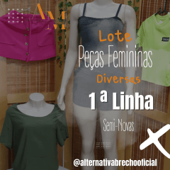 FEMININAS PEÇAS DIVERSAS - 300 PEÇAS FEMININAS DIVERSAS - BOA QUALIDADE